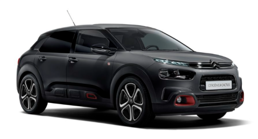 C4 CACTUS (2018-2021)